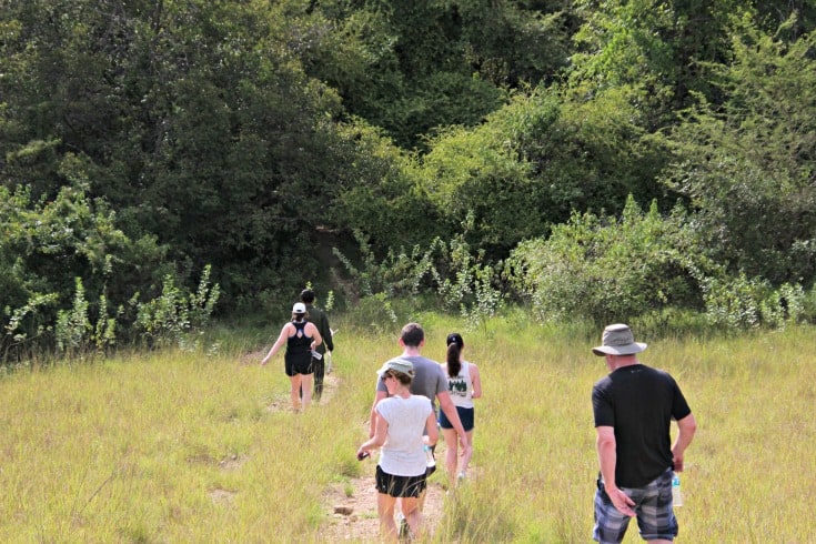 hiking around Komodo dragons