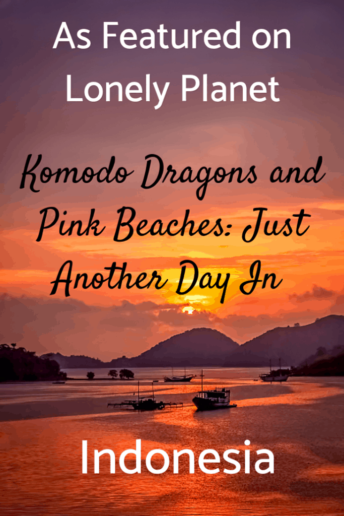 I am thrilled that Lonely Planet chose this article to celebrate Best in Travel. Our four day trip to Komodo National Park in Indonesia was extraordinary. We hiked with Komodo dragons, swam with giant manta rays and turtles, hung out on deserted pink beaches, and witnessed thousands of flying foxes on their nightly migration. What are you waiting for? #travel #familytravel #bestintravel #lonelyplanet #worldunesco |Asia, Flores, Komodo Resort, Makaser, mangrove, Padar Island, Pimpe, Rinca,