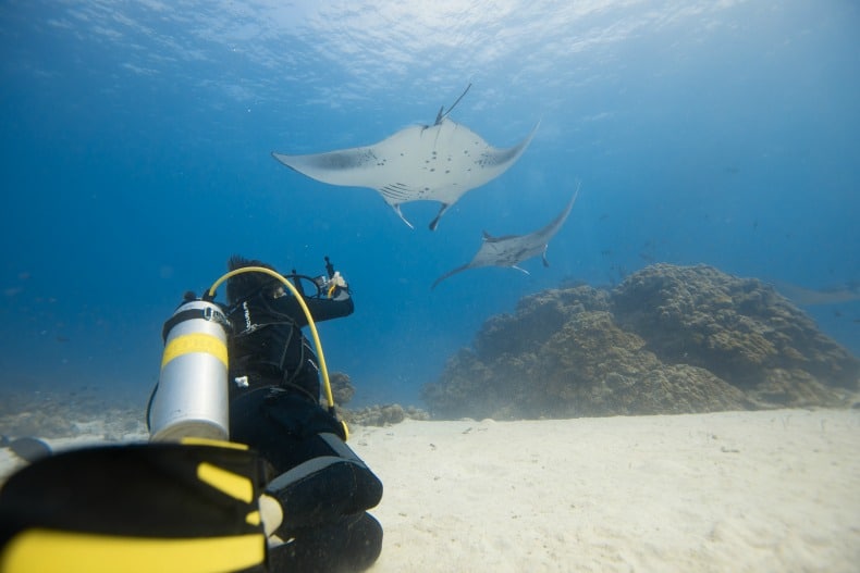 Komodo national park