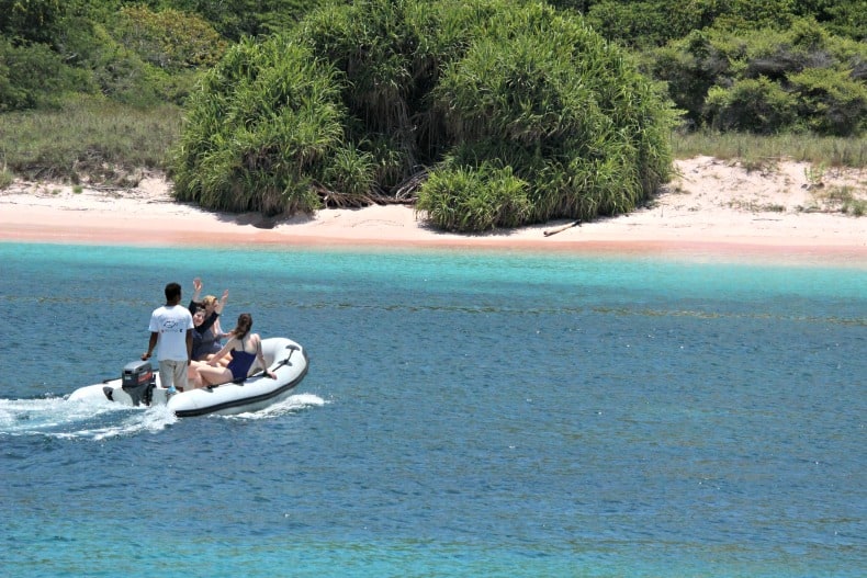 Pink beach in Komodo National Park