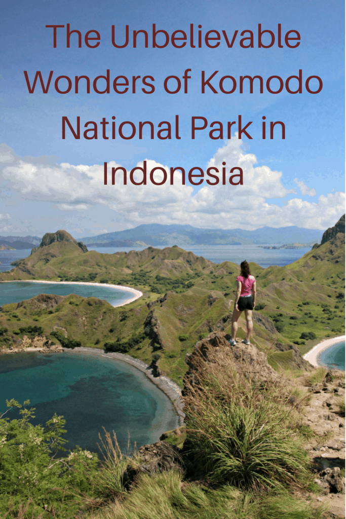 Komodo National Park in Indonesia is a beautiful untouched paradise where you can swim with manta rays and turtles and hike with Komodo dragons. Here is why a trip there should be added to your bucket list. bats, boat, child, Coral Triangle, cruise, Flores, flying foxes, kids, Komodo dragons, Komodo, Komodo National Park, Komodo Resort, manta rays, Padar Island, pink beaches, reef, Rinca Island, scuba diving, Sebayur, snorkelling, swimming, teen, turtles, UNESCO World Heritage Site