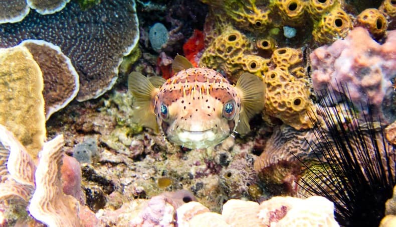 Komodo National Park in Indonesia