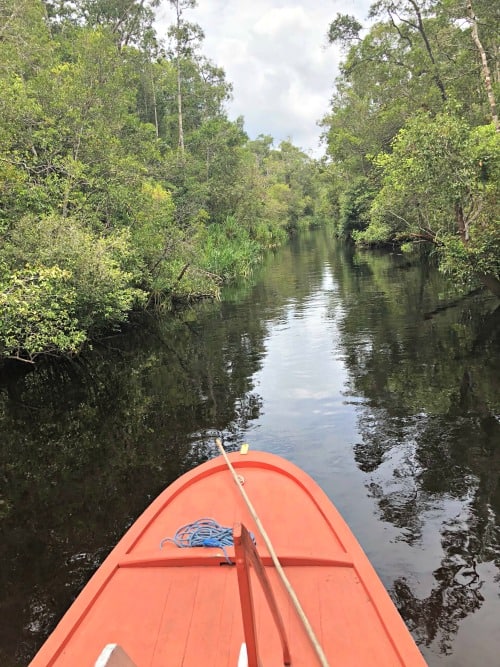 Tanjung Punting National Park