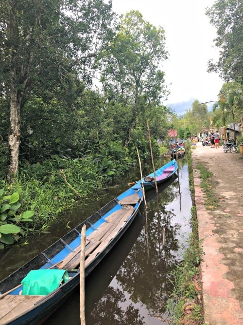 lignting bugs in Borneo, Indonesia