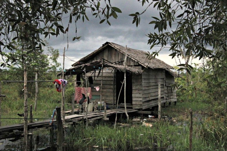 lignting bugs in Borneo, Indonesia