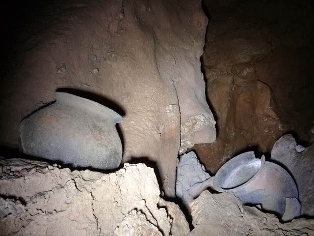 Skull and bones found in the Cathedral