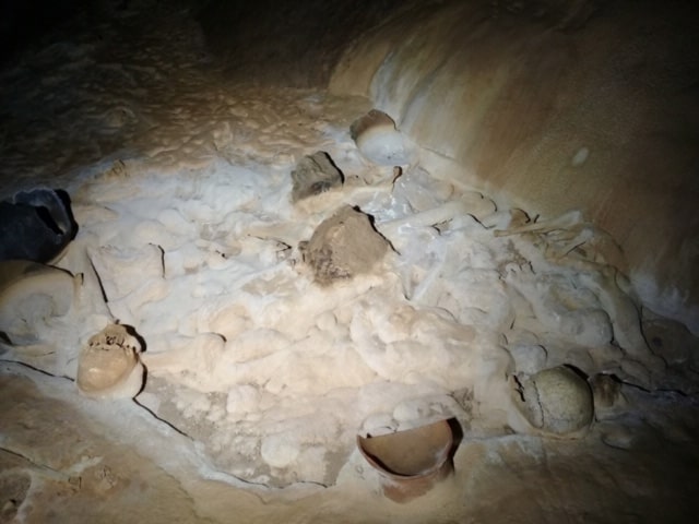 Crystals forming on stalactites in the ATM cave.