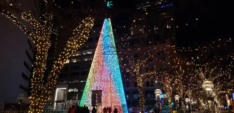 best place to visit in the USA in December