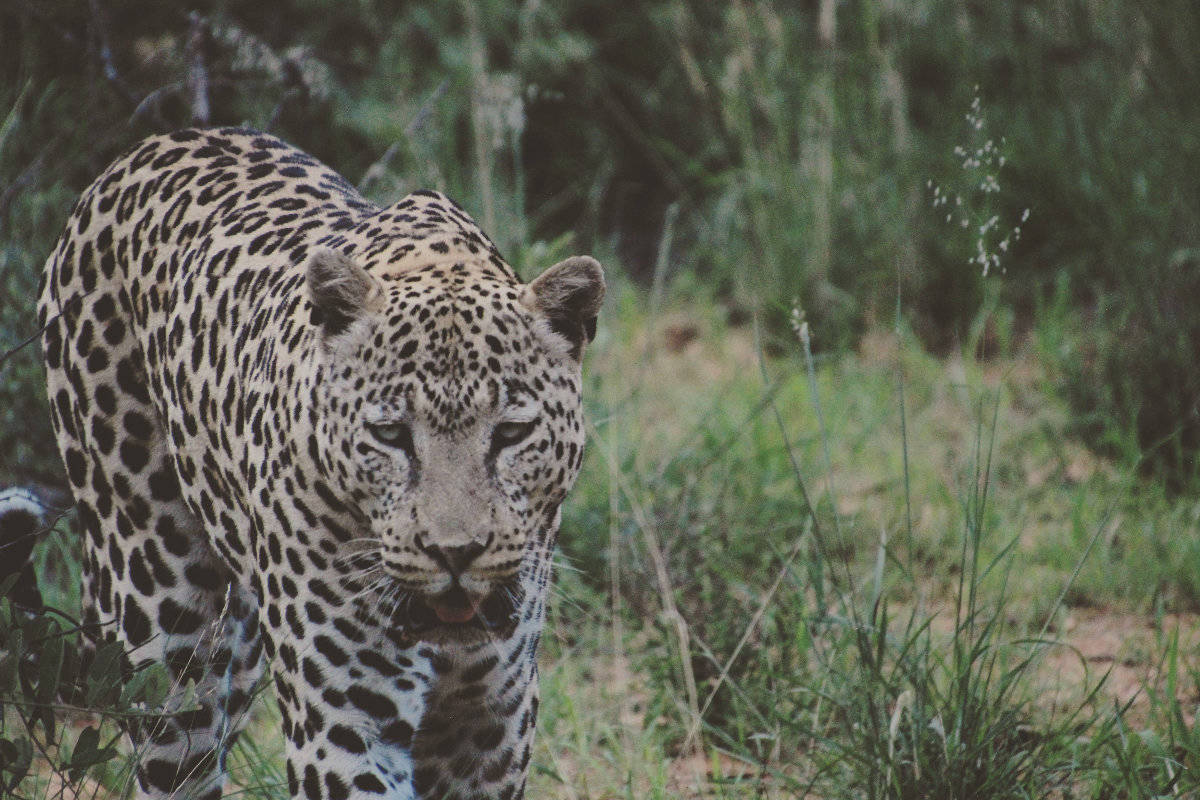 Best 2 Week Itinerary In Namibia (+ Travel Tips & Maps) (2026)