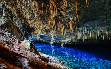 things to do in bonito