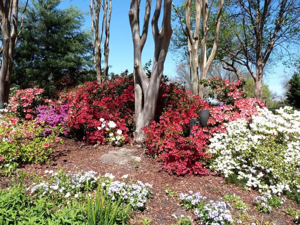 best indoor flower show in spring in america