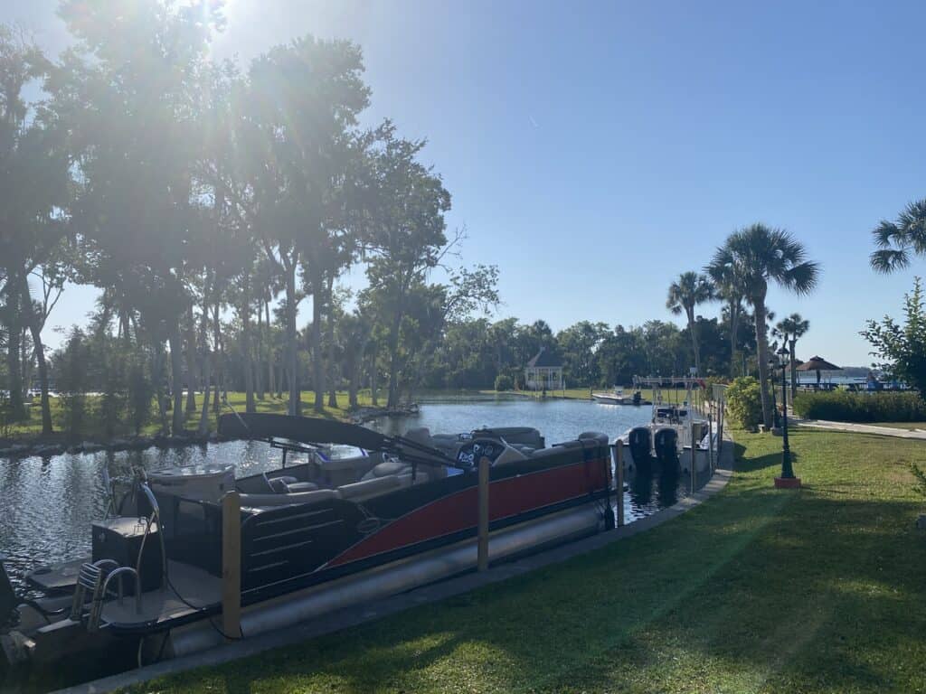 swimming in manatees in florida in spring