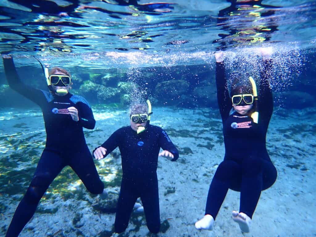 snorkeling in three sisters springs in florida