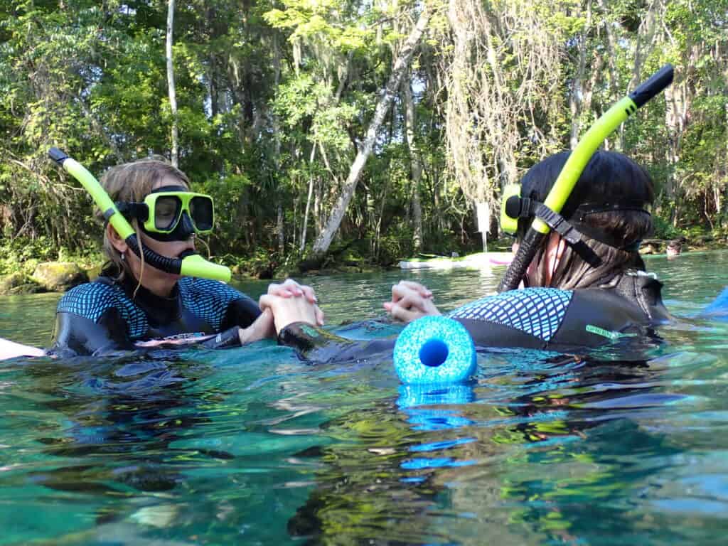 snorkeling three sisters springs