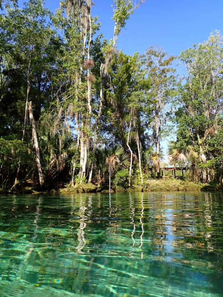 crystal clear waters of three sisters springs